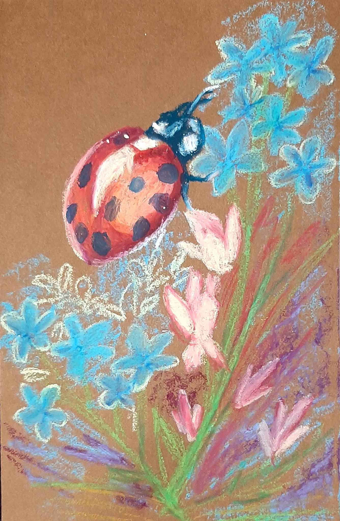 A pastel drawing on toned brown paper of a ladybug on flowers