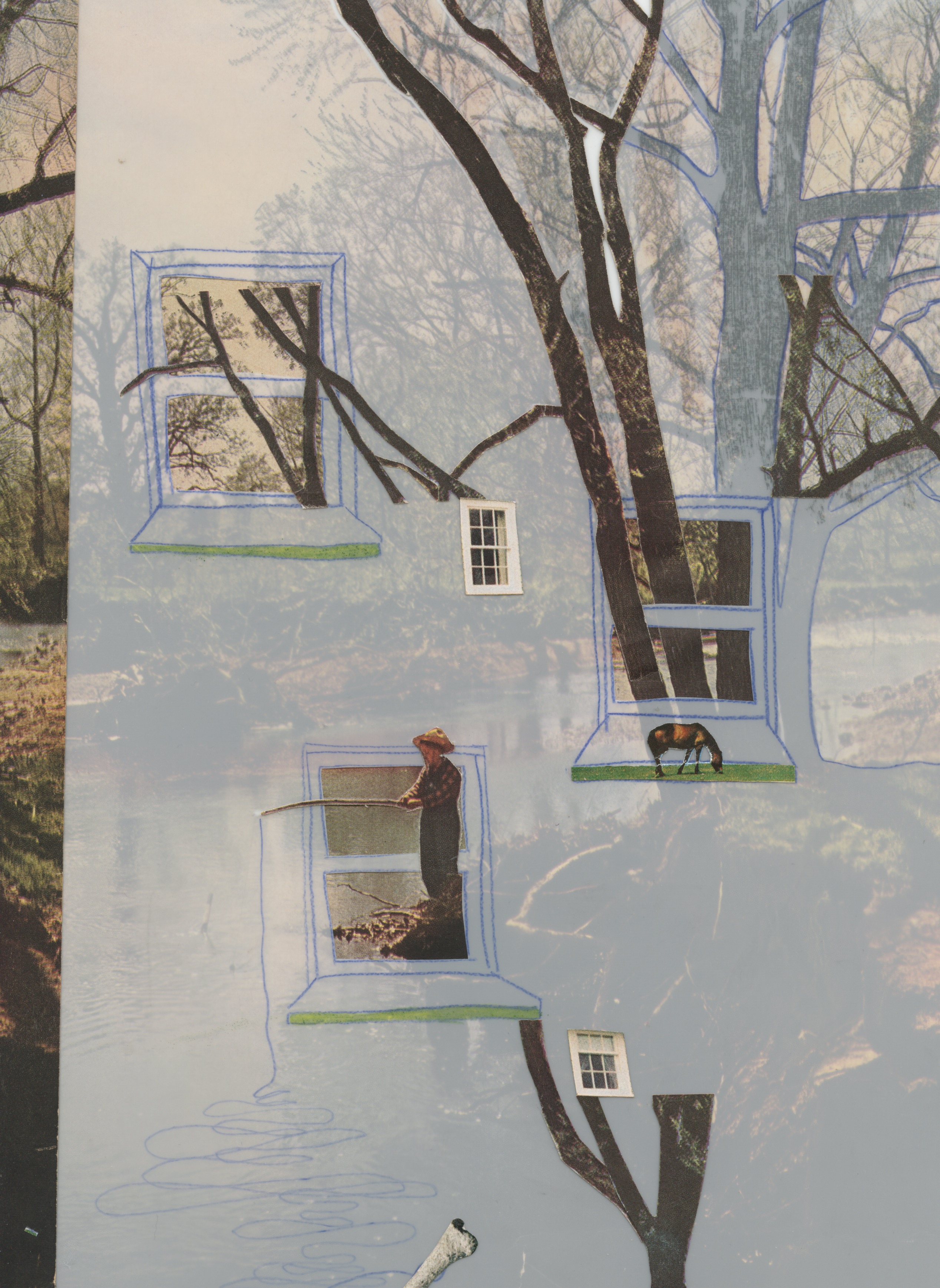 A layered photocollage of bare trees emerging from various drawn and collaged windows overlaid on a landscape image with translucent vellum