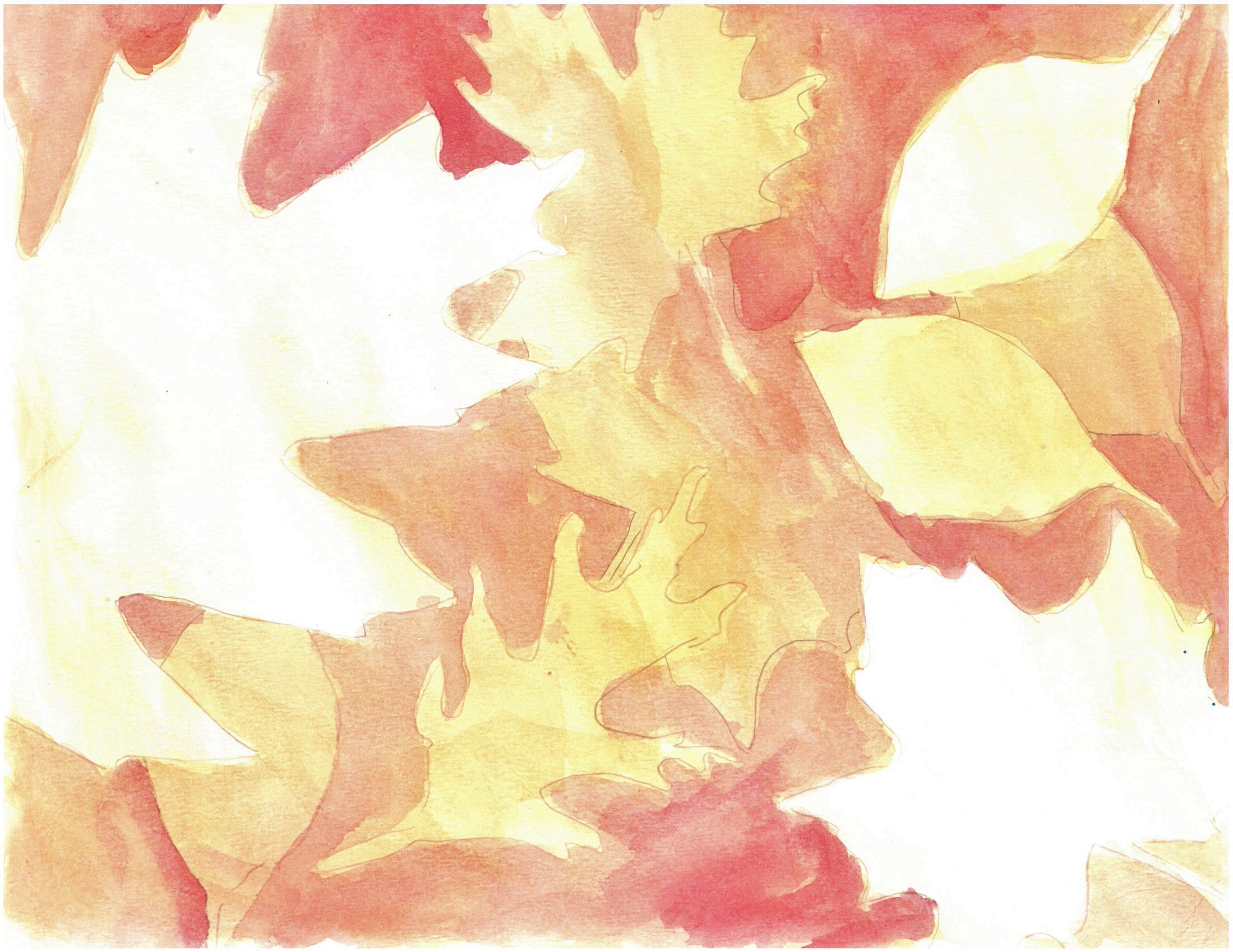 A watercolour painting of various leaf shapes as white negative shapes surrounded by washes of orange, red and yellow