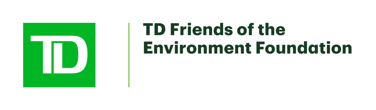 Green square with the letters T and D connecting. Text divided by a green line to the right saying TD Friends of the Environment Foundation