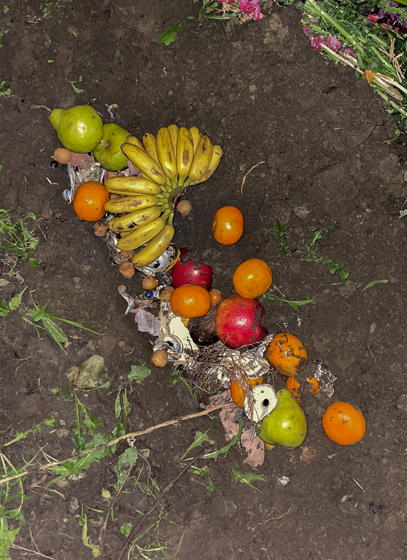 Flash photo of oranges, apples pears and other organic materials collected on a bed of soil