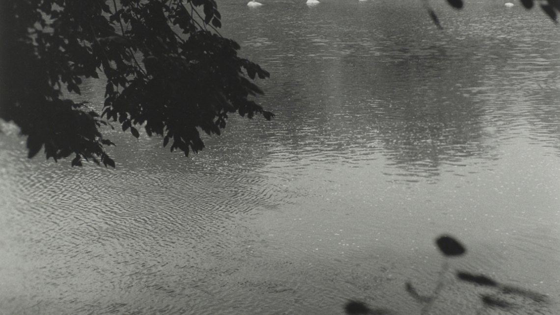 Shelley Niro's Return to Life is a black and white photograph offering a glimpse of the Grand River from beneath a silhouetted tree canopy on a wild shoreline