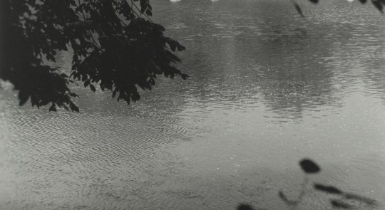 Shelley Niro's Return to Life is a black and white photograph offering a glimpse of the Grand River from beneath a silhouetted tree canopy on a wild shoreline