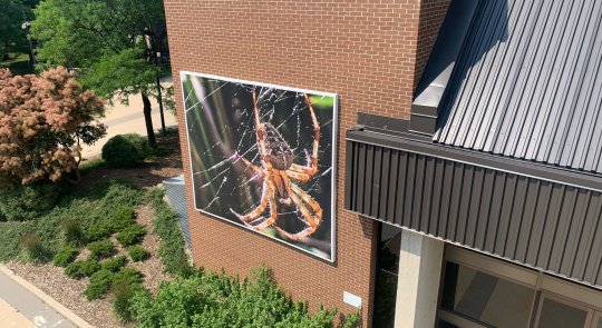 Aerial photo of a large digital banner of a red spider spinning a web, installed on a large brick wall of Centre In The Square