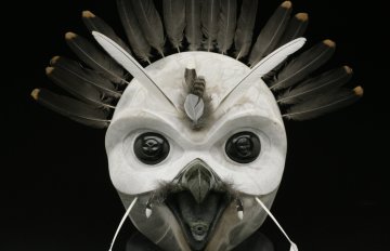 Ornate grouse head with an arc of feathers