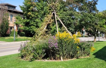 teepee shaped garden area with many wildflowers growing within