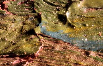 macro photograph of cracking green, blue, and brown paint