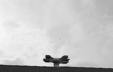 black and white photo of a statue in a field with birds flying in the sky