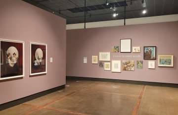 Installation shot with pictures hun on pink and white gallery walls