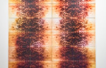 abstract orange and brown image in vertical lines