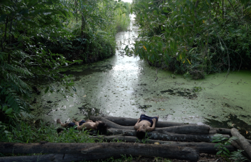 photograph of two men laying topless on a pile of logs in front of a bog