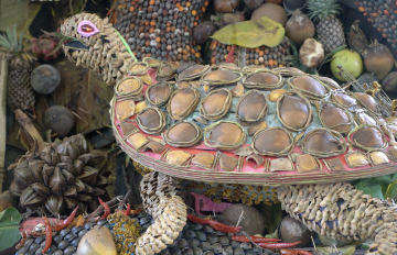 photograph of a turtle sculpture made out of shells, stones, and bits of twine