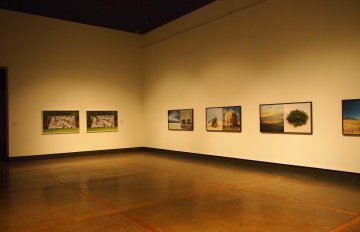 Installation shot with pictures hun on pink and white gallery walls