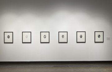 gallery installation photo of six pictures hanging in a row on a wall