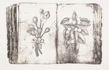 print of a book with pressed flowers in it