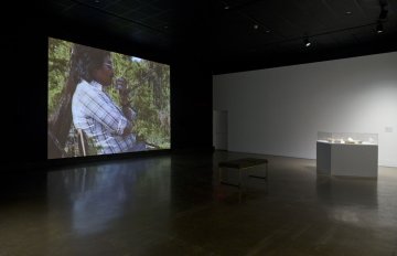 installation view of exhibition showcasing video projected onto the wall