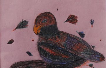 drawing of a colourful bird