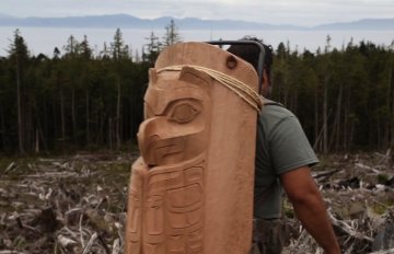 man walking up a hill where trees have been cut down. he has part of a totem pole on his back