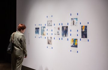 small collage of pictures hung on wall being admired by gallery visitor