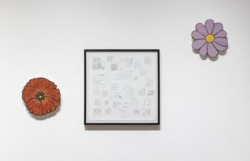 Photo of Derya Akay Studies for asters, rounds, table top, 2024 Pen and ink drawing