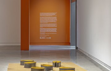 Installation shot of Steel sculptures of char steaks with a rusted look on carboard against a rusted color background