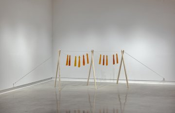 Installation shot of Pitsiit (drying fish) shaped candy, amber in color, hanging on a rope