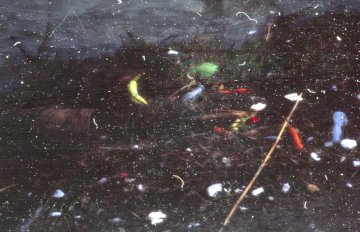 Dark, foggy image of frozen fruit and items