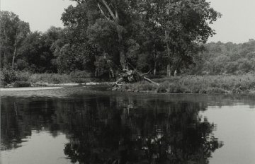 Black and white image of the Grand River by Shelley Niro. The photo centres on a large tree the is reflected in the water of the Grand River.