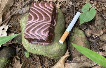 Photo of a chocolate slice of cake and a cigarette on a forest floor
