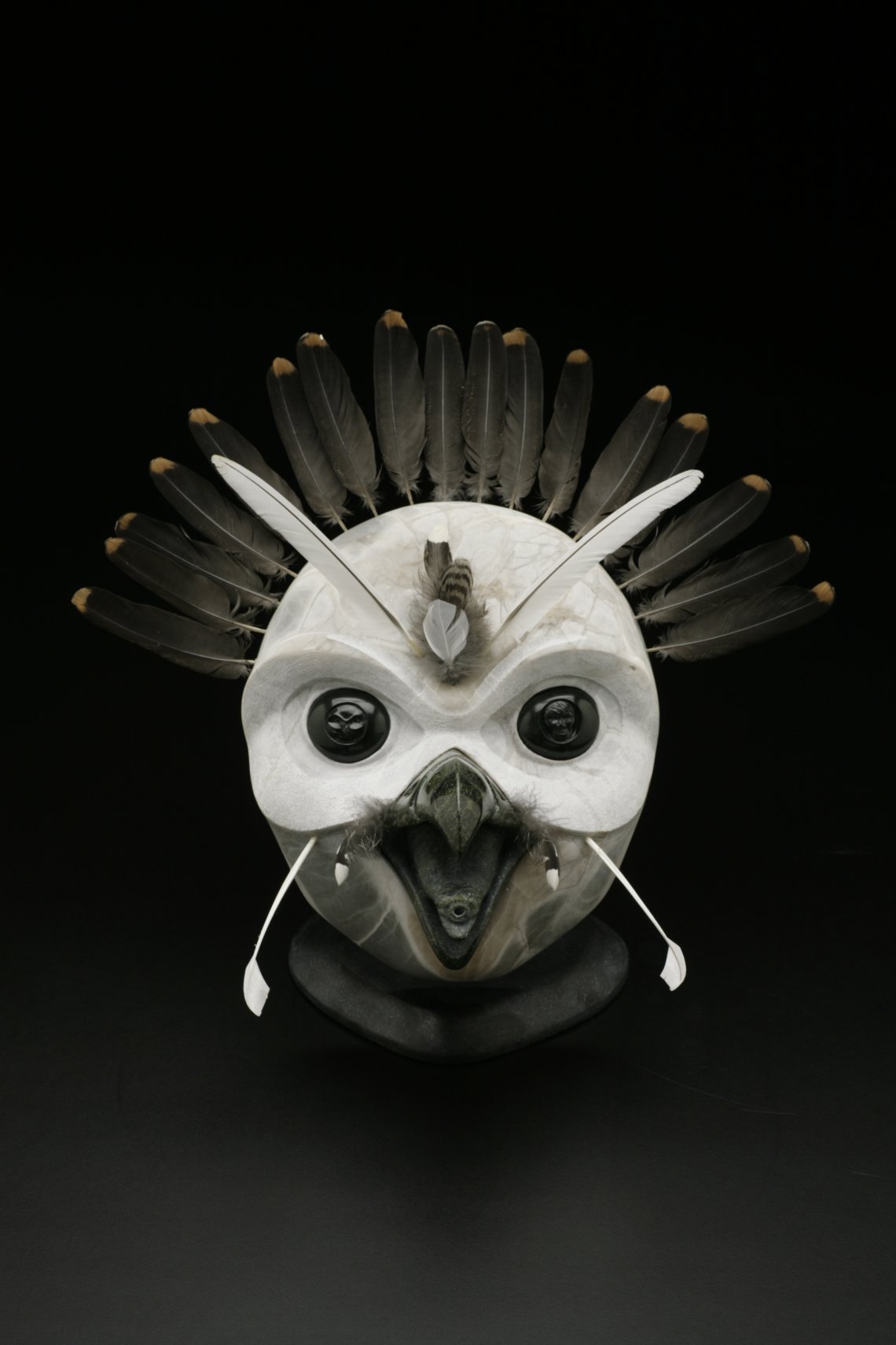 Ornate grouse head with an arc of feathers