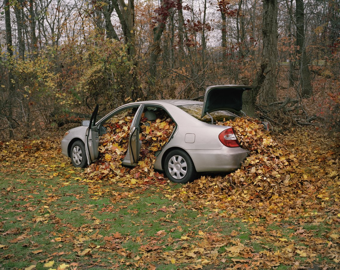 photograph of a car full of leaves with the doors and trunk open