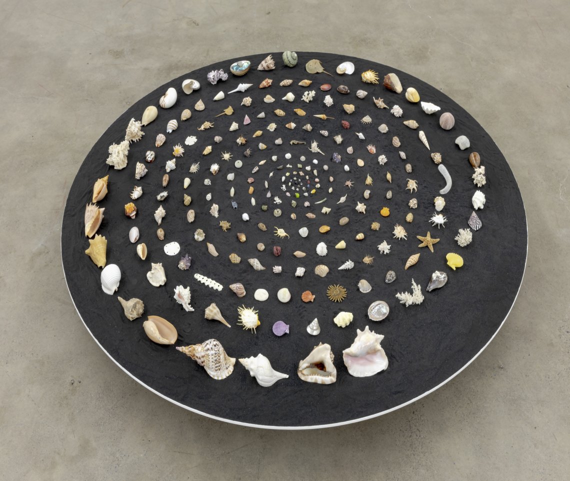 Seashells and other forms arranged in the shape of a spiral