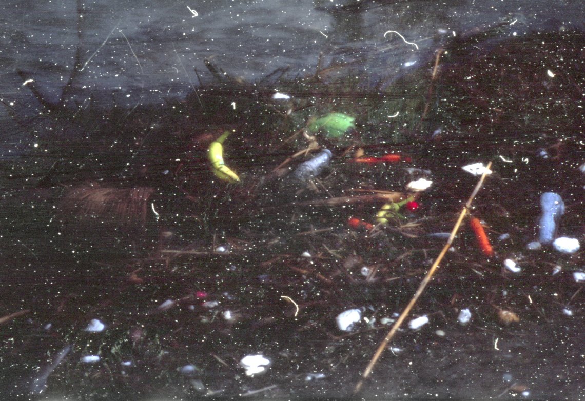 Dark, foggy image of frozen fruit and items