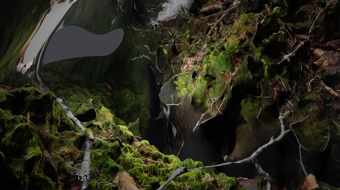 Abstract green, plant-like mossy textures