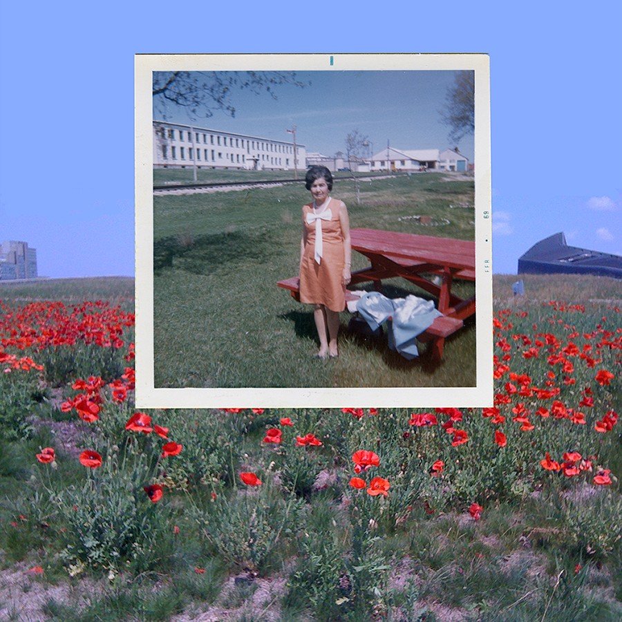 A double-layered image of poppies in a field with a second image of a young female figure in a dress standing beside a picnic bench