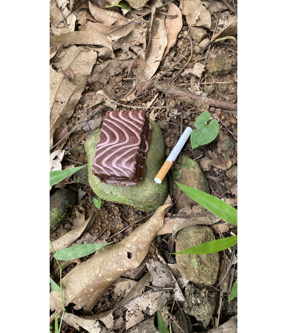 Photo of a chocolate slice of cake and a cigarette on a forest floor