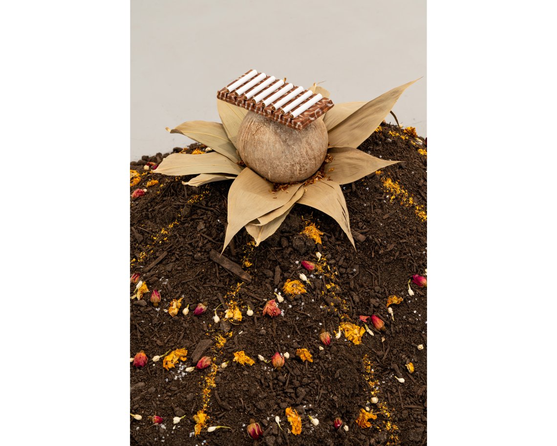 detail of a dried flower on top of a mound of soil with dry petals