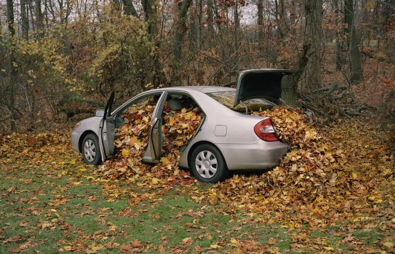 photograph of a car full of leaves with the doors and trunk open