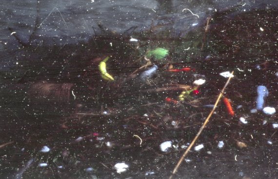 Dark, foggy image of frozen fruit and items