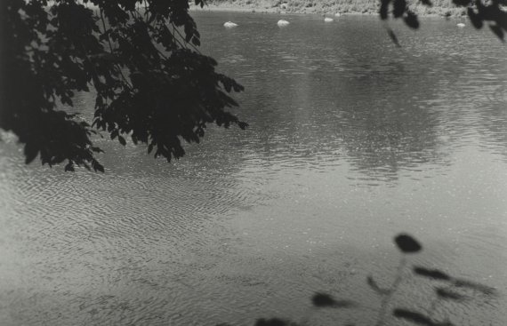 Black and white image of the Grand River by Shelley Niro. Photo is taken from under a dark arrangement of tree branches