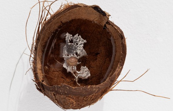 Coconut sculpture with snail shell and other materials inside