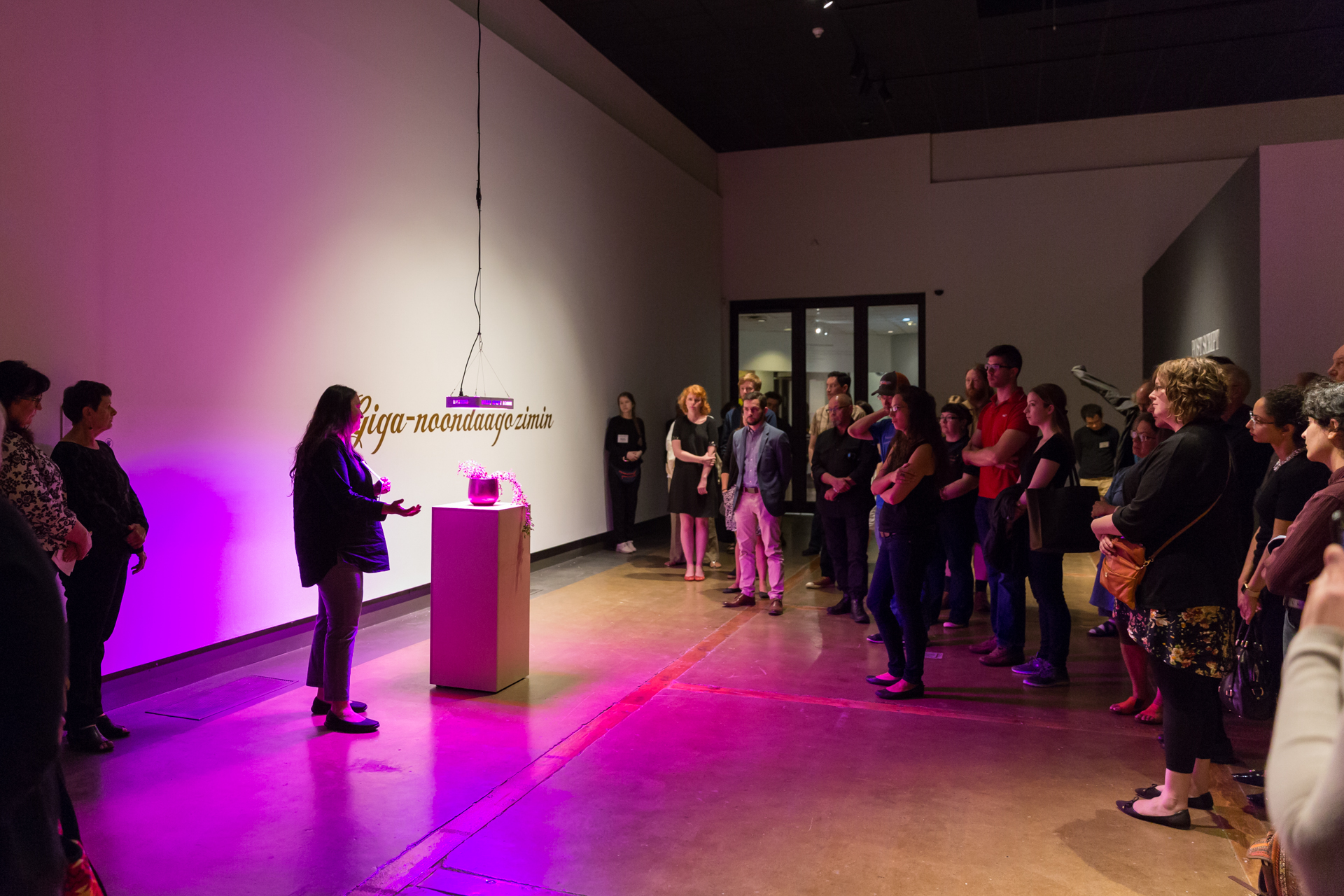 A large group of gallery visitors gather around curator Lisa Myers as she introduces Susan Blight's installation at the reception for Post Script