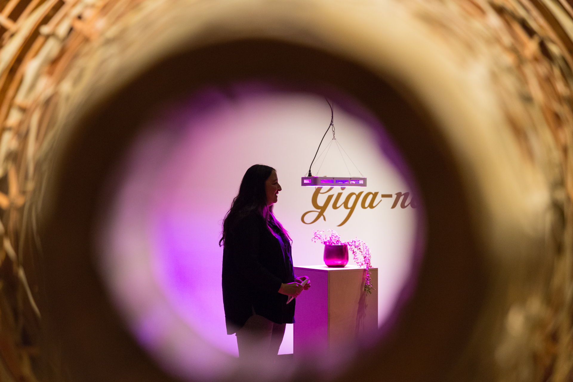 View of Lisa Myers as seen through the aperture of Rebecca Belmore's sculptural megaphone, lit violet by Susan Blight's installation