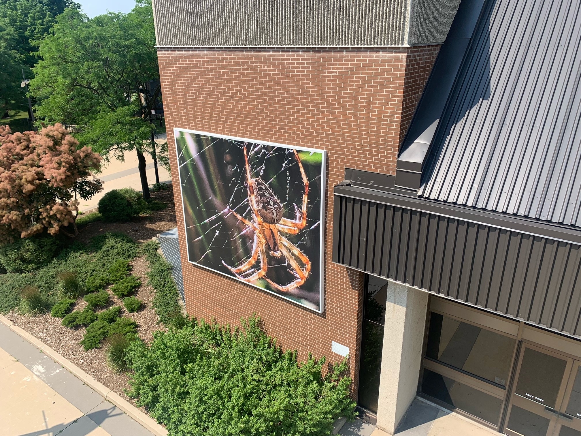 Aerial view of a large digital banner print of a red spider spining a web, installed on a red brick wall of Centre In the Square